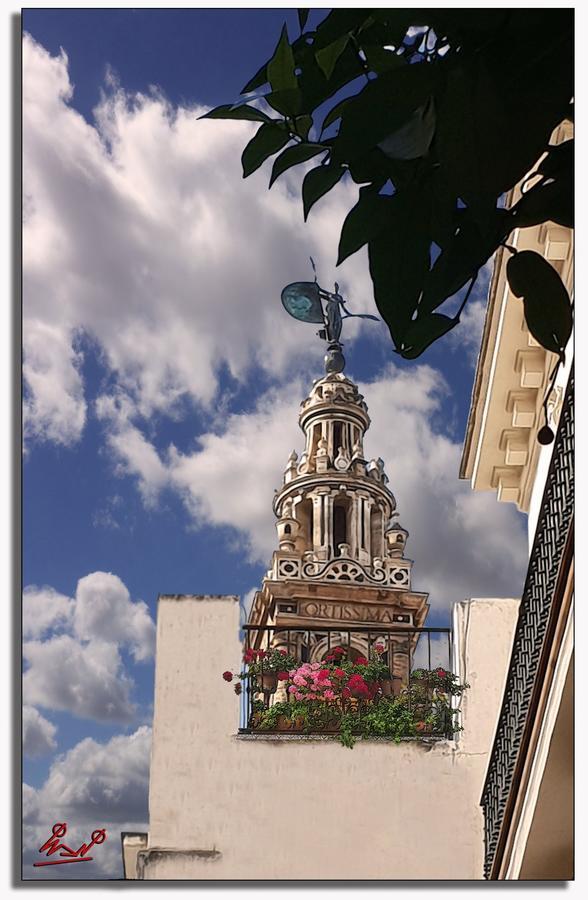 Appartement Studio Calle Salado *